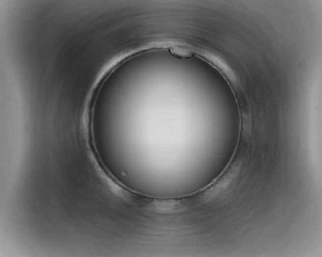 X0000115601046200911171124