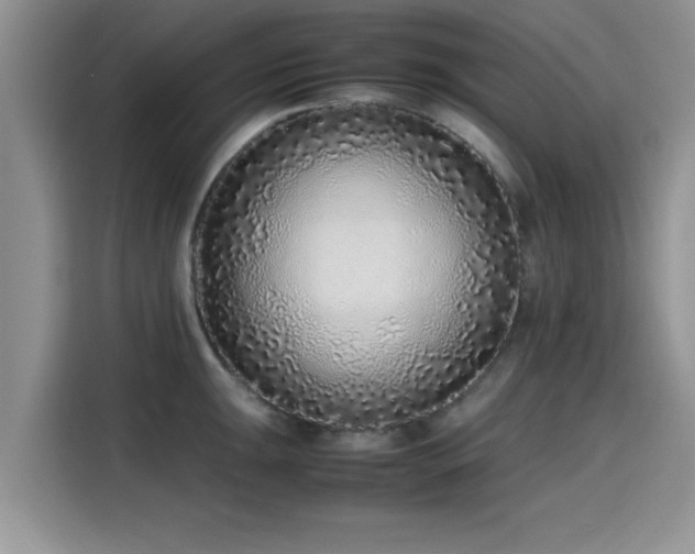 X0000115601047200911171124