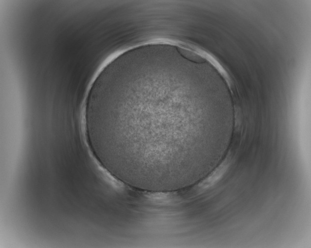 X0000115601048200911171124