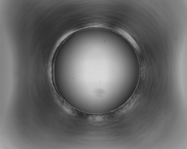 X0000115601051200911171124