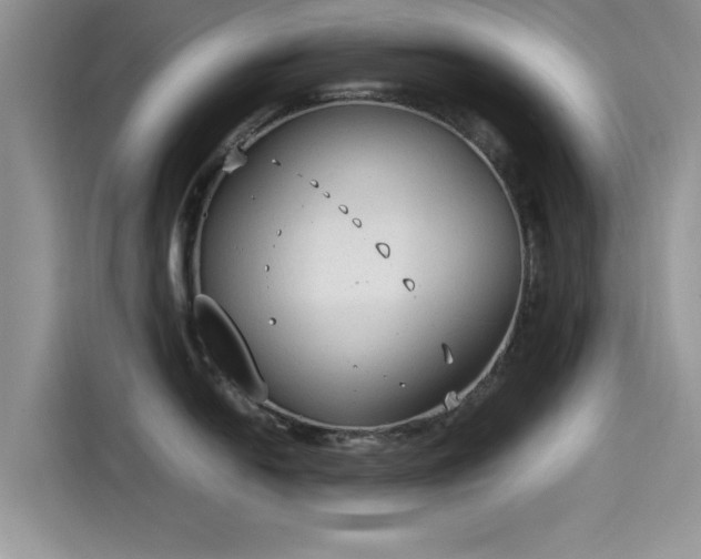 X0000115601054200911171124