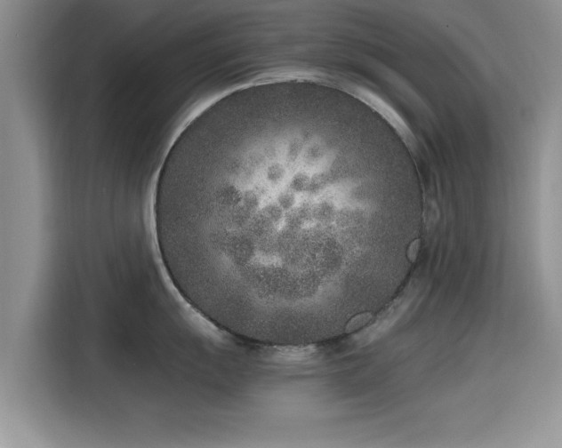 X0000115601055200911171124