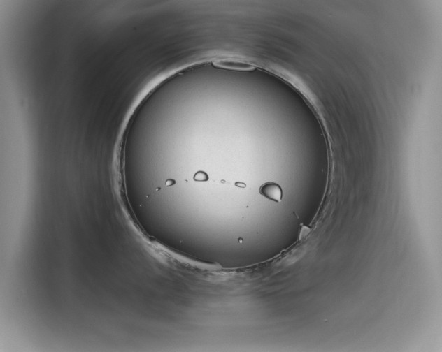 X0000115601056200911171124