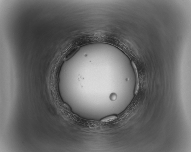 X0000115601057200911171124