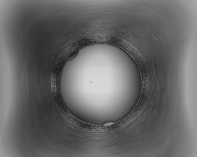 X0000115601058200911171124