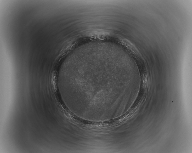 X0000115601060200911171124