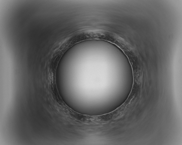 X0000115601061200911171124