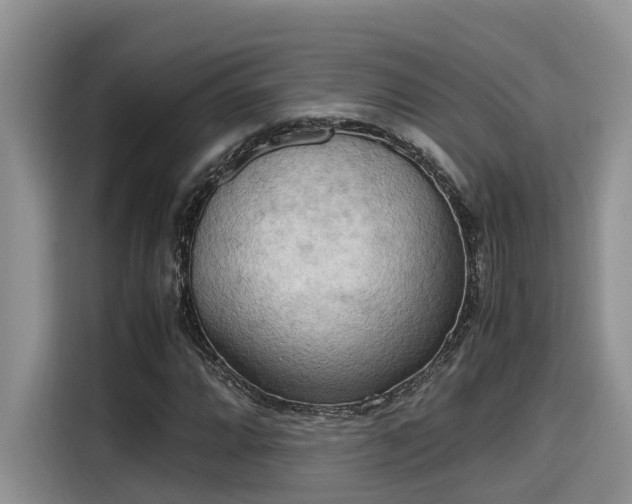 X0000115601064200911171124