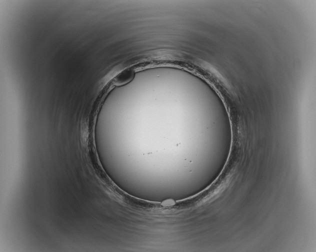 X0000115601065200911171124