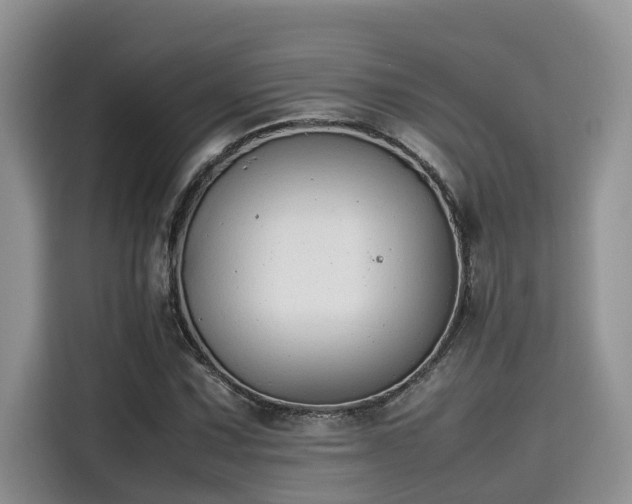 X0000115601067200911171123