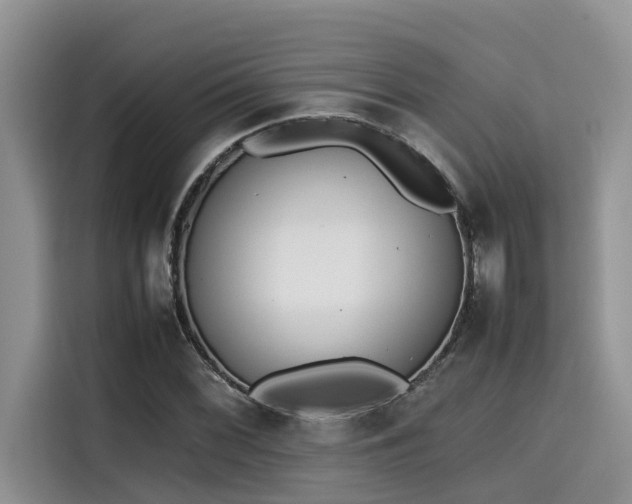 X0000115601068200911171123