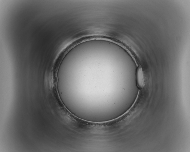 X0000115601069200911171123