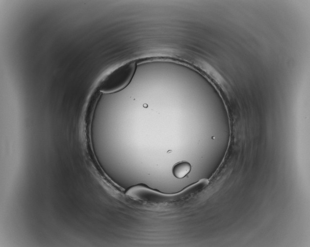 X0000115601072200911171123