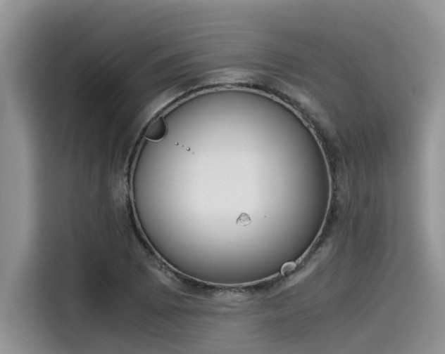 X0000115601073200911171123