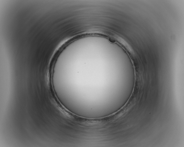 X0000115601076200911171123