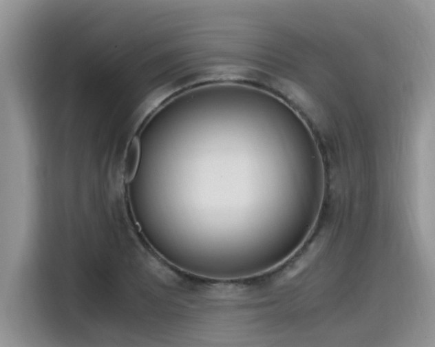 X0000115601081200911171123