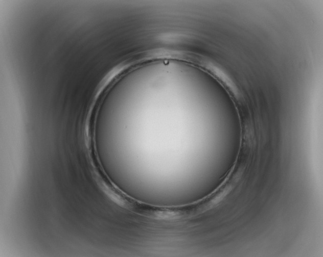 X0000115601082200911171123