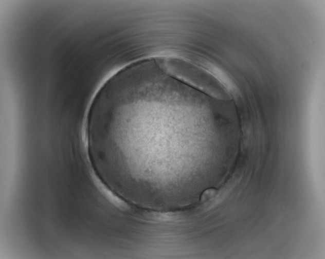 X0000115601084200911171123