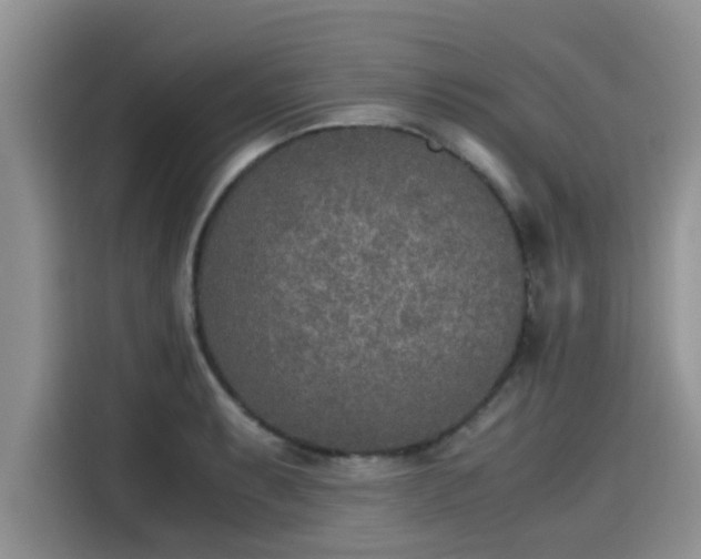 X0000115601087200911171123