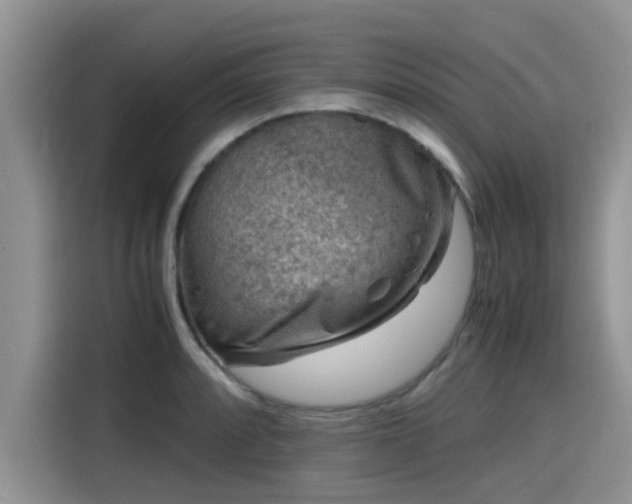 X0000115601088200911171123