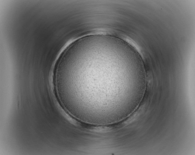 X0000115601091200911171123