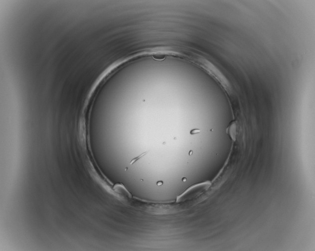 X0000115601092200911171123