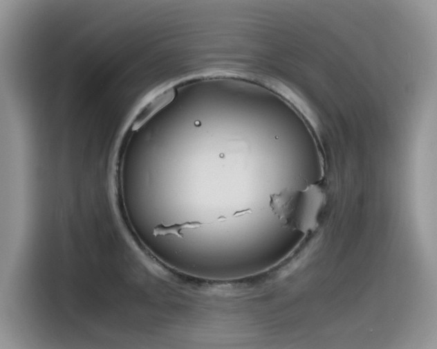 X0000115601093200911171123