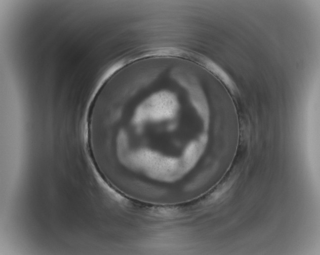 X0000115601095200911171123