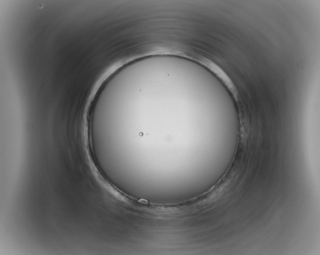 X0000115601096200911171123