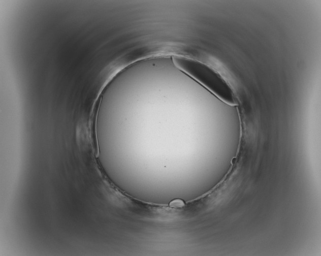 X0000115601097200911171123