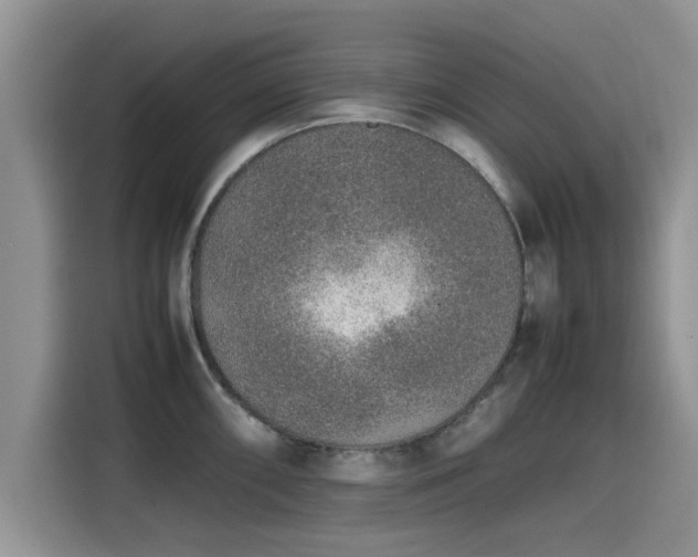 X0000115601098200911171123