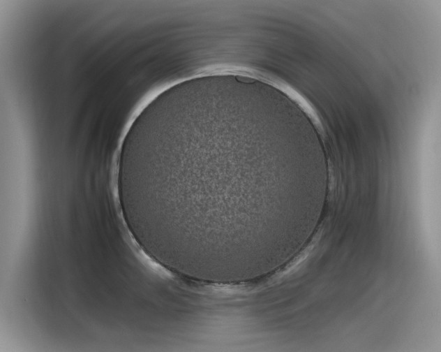 X0000115601102200911171123