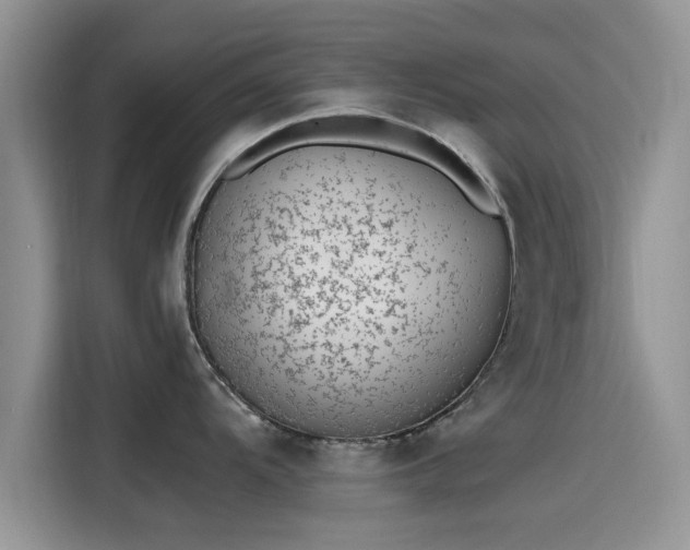 X0000115601104200911171123