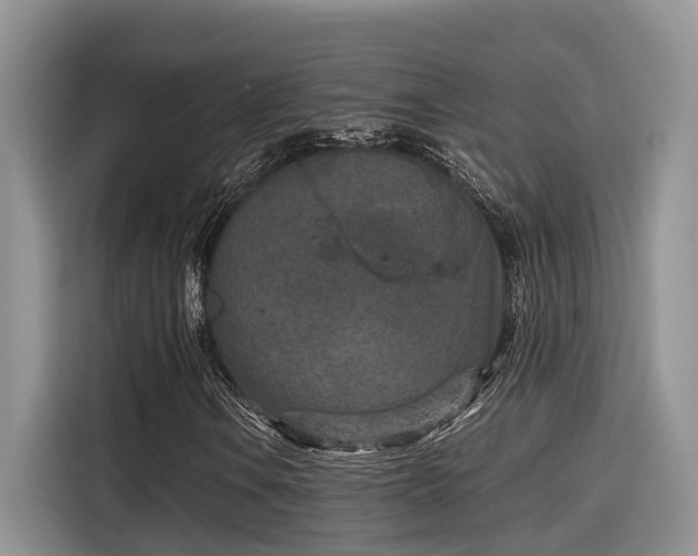 X0000115601106200911171122