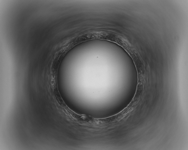 X0000115601109200911171122