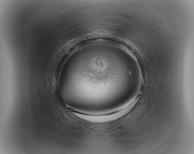 X0000115601110200911171122