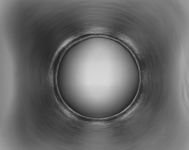 X0000115601114200911171122