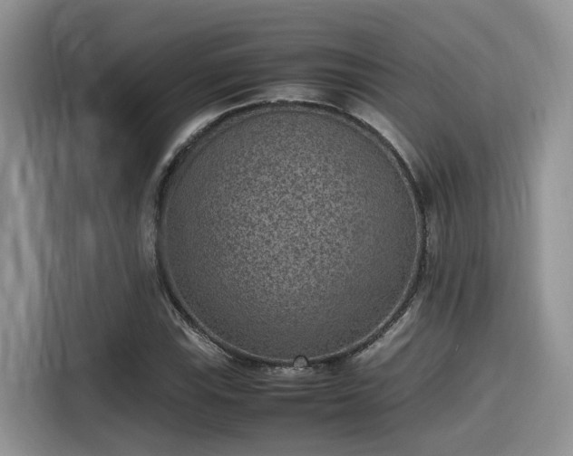 X0000115601115200911171123