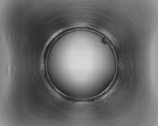 X0000115601118200911171123