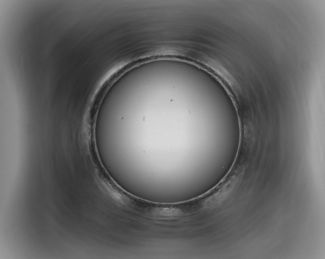 X0000115601119200911171123