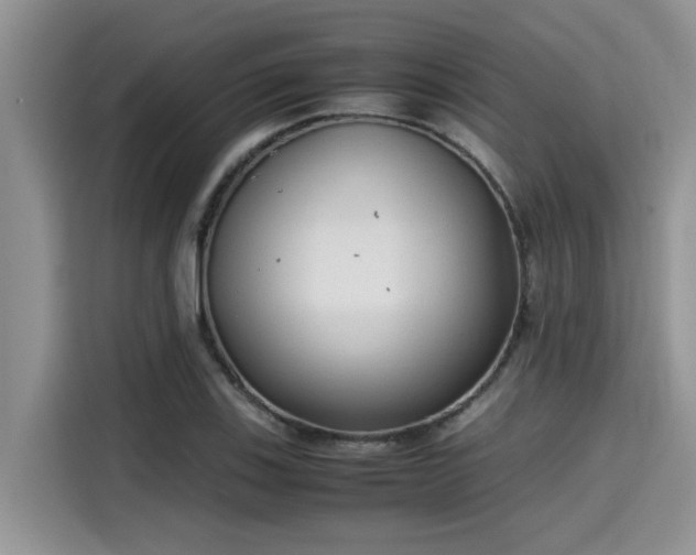 X0000115601123200911171123