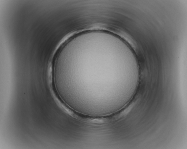 X0000115601126200911171123