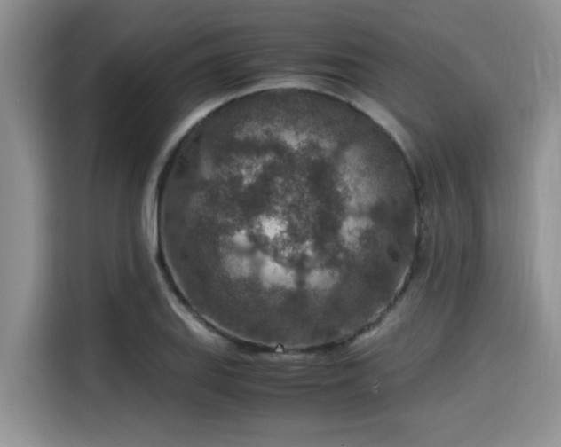 X0000115601127200911171123