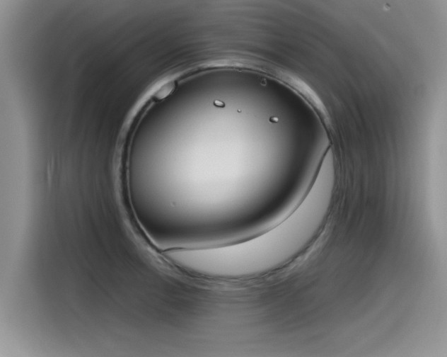 X0000115601138200911171123