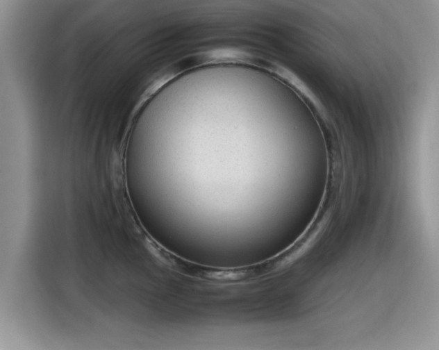 X0000115601145200911171123