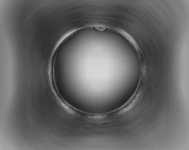 X0000115601149200911171123