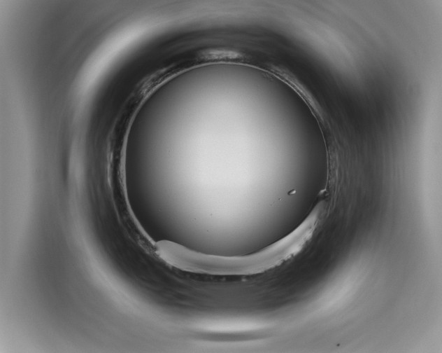 X0000115601151200911171123