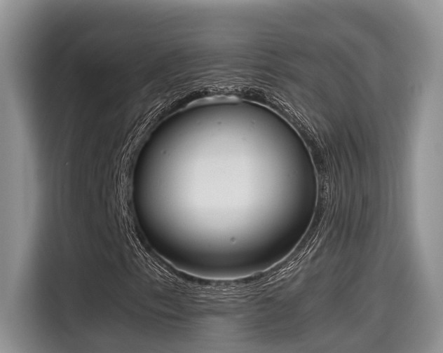 X0000115601153200911171122