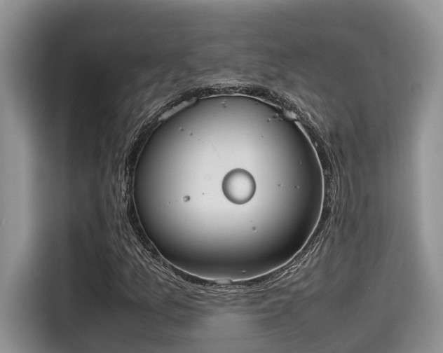 X0000115601157200911171122