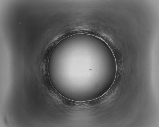 X0000115601159200911171122